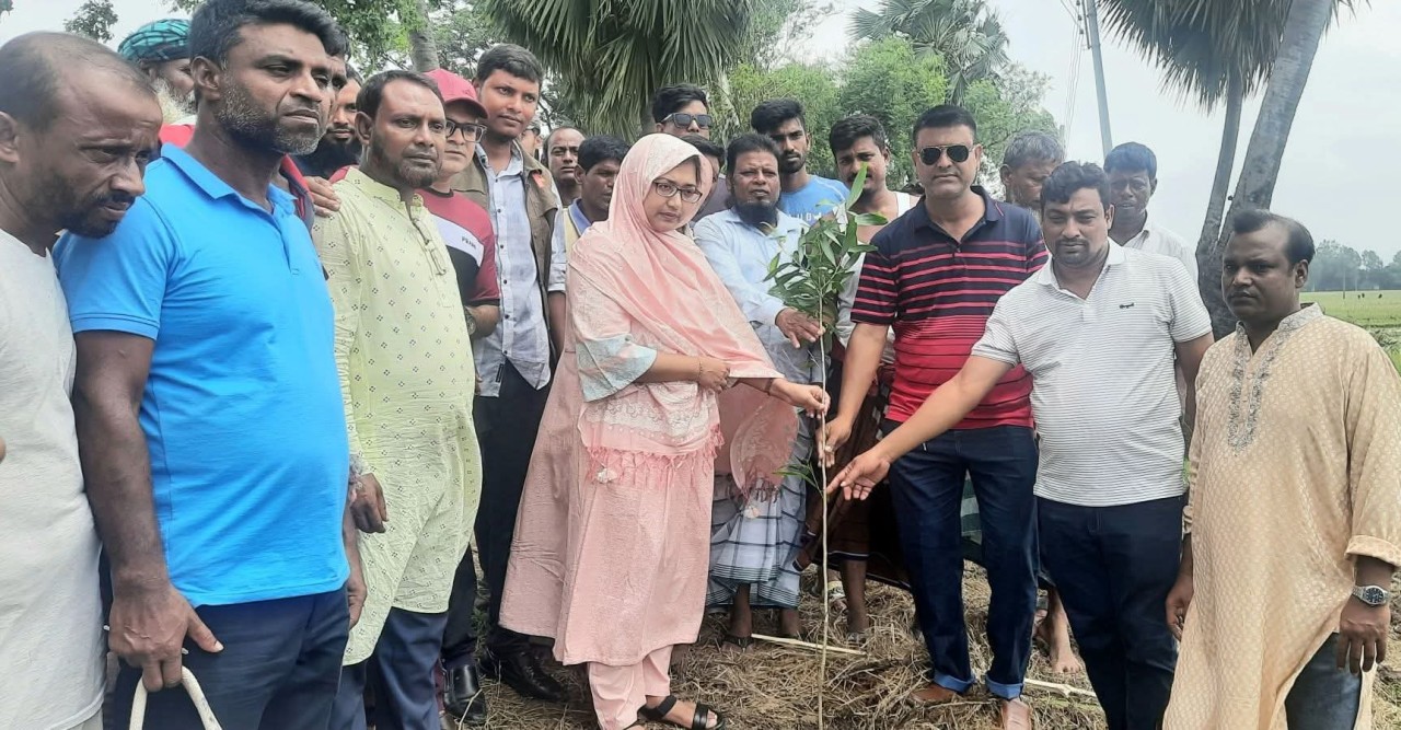 বগুড়ার,সান্তাহারে রক্তদহ বিল পাড়ে ৮ হাজার গাছ রোপণের শুভ উদ্বোধন