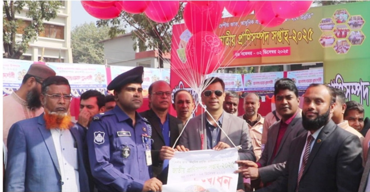 নওগাঁয় জাতীয় প্রাণিসম্পদ সপ্তাহ-২০২৫ উদ্বোধন