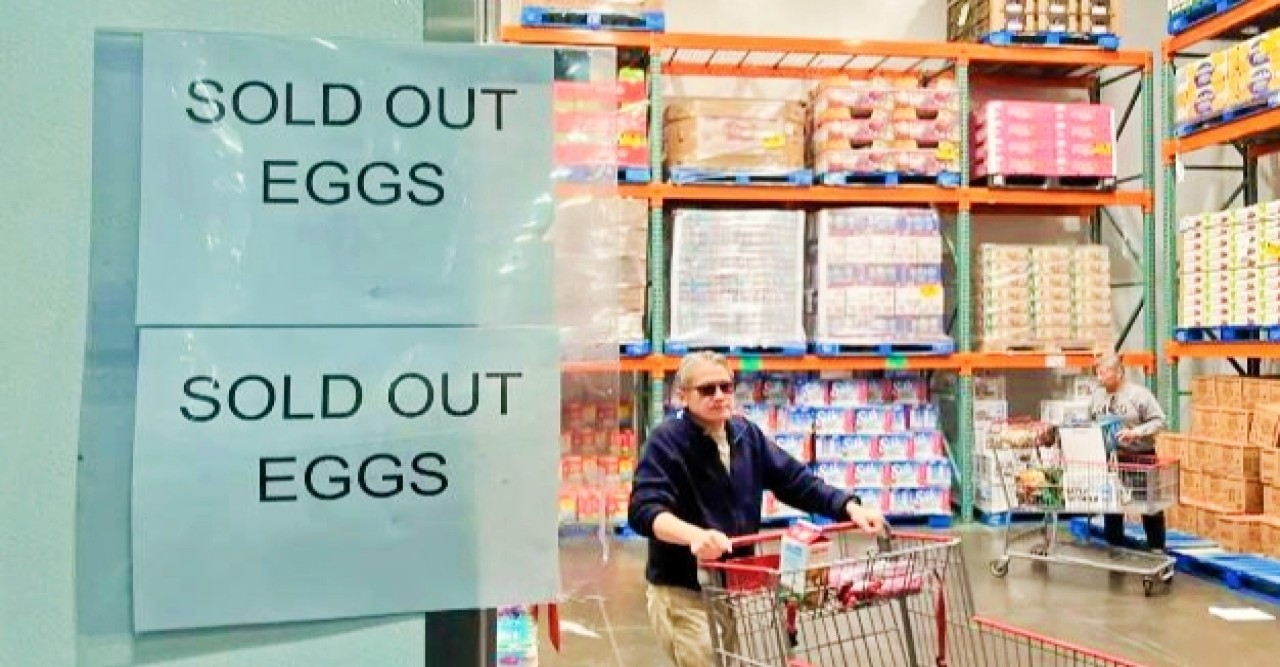 আমেরিকা ফার্স্ট’ নীতির কারণে দেশটির ঐতিহ্যবাহী মিত্ররা হতাশ!