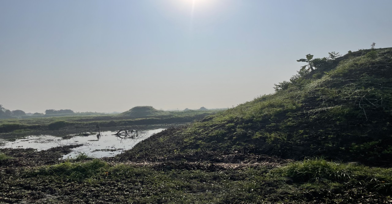 সরকার ইচ্ছে করলেই আড়িয়াল বিলের মাটি ডাকাতি বন্ধ করতে পারে