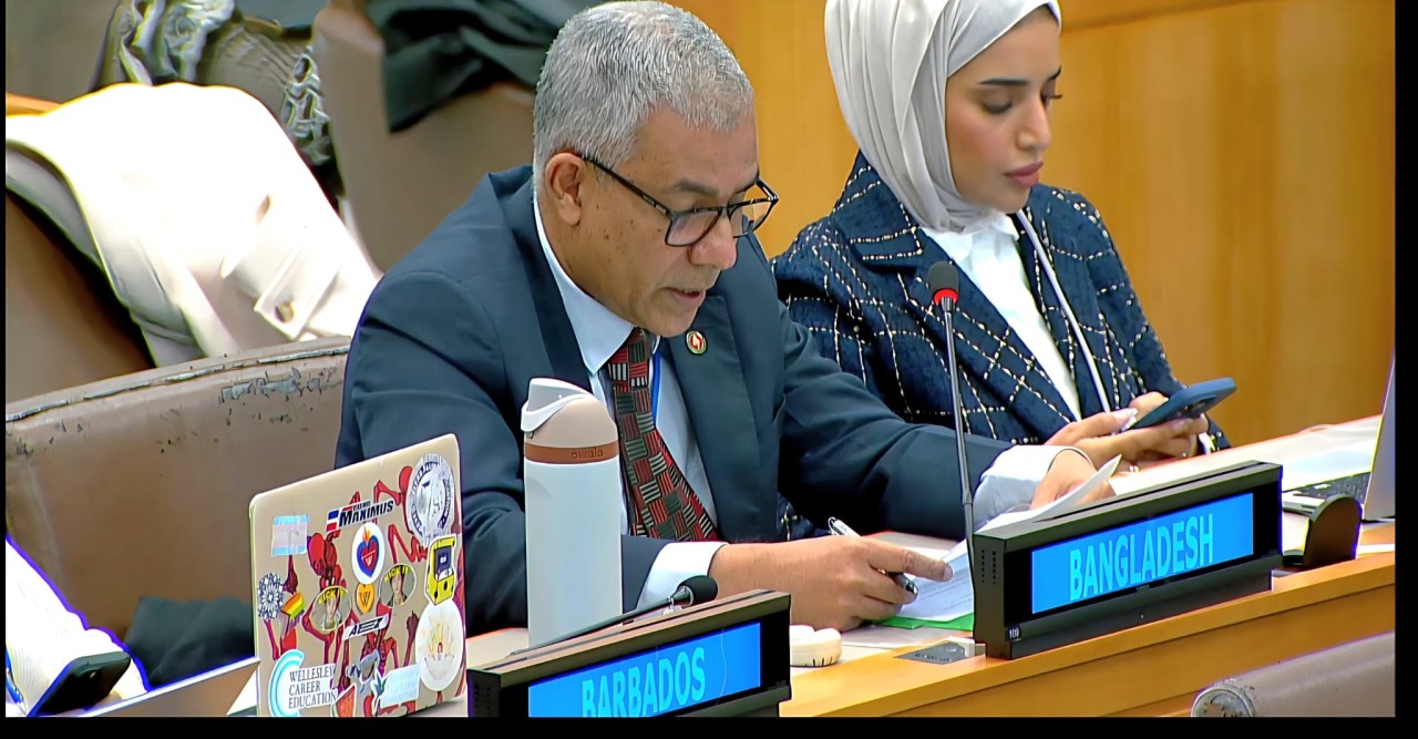 UNGA adopts resolution on Rohingya