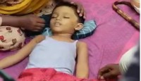 আদমদীঘিতে নানির বাড়িতে খেলার সময় সাপের কামড়ে শিশুর মৃত্যু